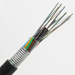 Cable de Fibra Óptica Monomodo de Baja Potencia Fiberhome Anti Roden GYTA GYTS, 12, 24, 48, 72, 96, 144, 192, 216 Núcleos - Product Image 2