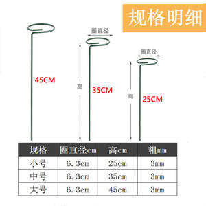 Support pour plantes d'intérieur <span class=keywords><strong>Amaryllis</strong></span> Orchidée Pivoine Tomate - Product Image 3