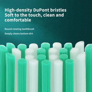 <span class=keywords><strong>Brosse</strong></span> à dents rotative OEM 2026, nouvelle <span class=keywords><strong>brosse</strong></span> à dents électrique, nettoyeur <span class=keywords><strong>dentaire</strong></span>, soins bucco-dentaires, <span class=keywords><strong>brosse</strong></span> à dents électrique <span class=keywords><strong>pour</strong></span> adultes, <span class=keywords><strong>appareil</strong></span> ménager - Product Image 2