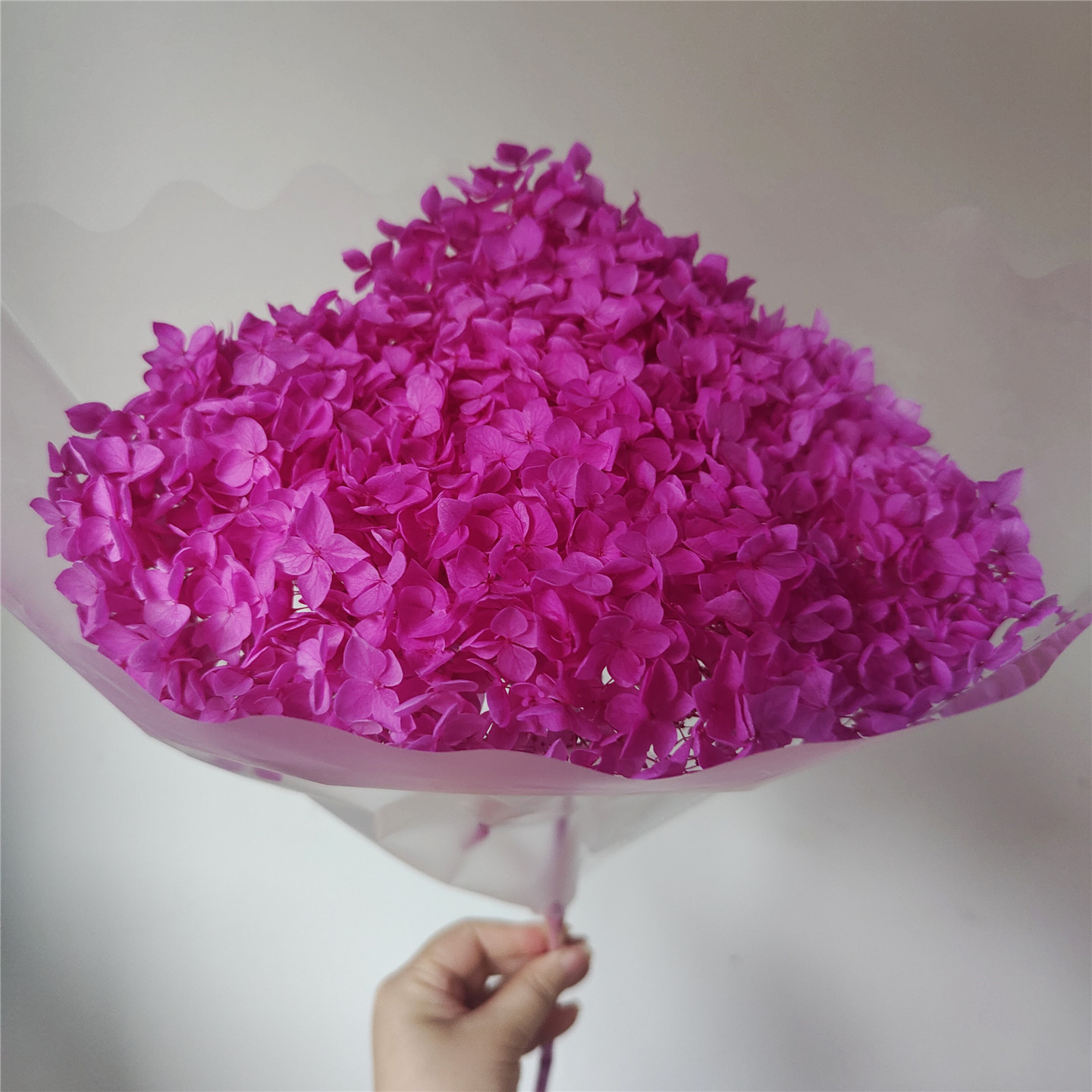 Light purplish red, 18-21 cm