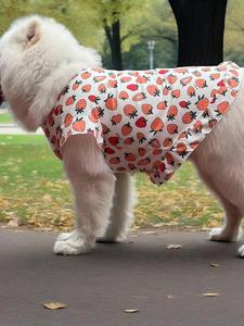 Robes pour chiens fines et bon marché pour le printemps et l'été, pour husky et labrador de taille moyenne à grande - Product Image 3