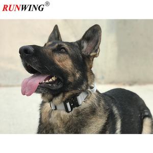 Patrón sólido <span class=keywords><strong>2</strong></span> Collar de perro de nailon resistente con hebilla negra y mango Correa para mascotas fácil de usar para mascotas activas - Product Image 6