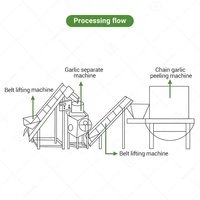 Machine industrielle automatique de pelage et de séparation des bulbes d'ail et de gingembre, ligne de production en Égypte