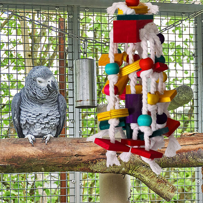 parrots toys