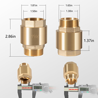 Clapet anti-retour à ressort en laiton de 1 pouce pour système d'irrigation et ligne de pompe de surpression avec débit unidirectionnel stable