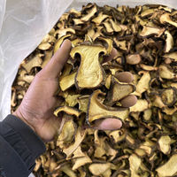Tranches de Champignons Slippery Jack Séchées Naturellement, Qualité Supérieure, Comestibles, Bords Bruns, Pulpe Jaune Pâle, Idéales pour Soupes, Ragoûts et Plats Braisés