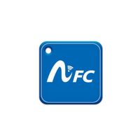 Porte-clés code QR personnalisé avec URL programmable RFID Epoxy NFC Pet ID Tags