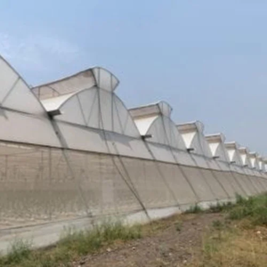 Invernadero de Doble Ventilación, Eficiente Energéticamente, de Alta Resistencia y Durabilidad, con Diseño de Ventilación Dual Optimizado - Product Image 5