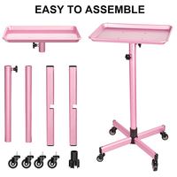 Chariots de travail pour salon Chariot de salon de coiffure Chariot de coiffure Plateau avec roues Mobilier de salon en or Moderne 50pcs Hauteur réglable