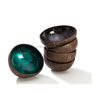 Juego al por mayor de cuencos de cáscara de coco natural hechos a mano Laca ecológica técnica personalizada productos calientes hechos en Vietnam - Product Image 1