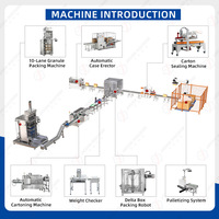 Automatic Multi-lane Cane Brown Sugar Stick Sachet Packing Paper Plastic Box Packing Machine Line