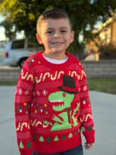 2025 nouveauté OEM noël Jacquard <span class=keywords><strong>pull</strong></span> <span class=keywords><strong>pull</strong></span> pour la famille vêtements de nuit pleine maison wapiti conception famille vêtements - Product Image 3