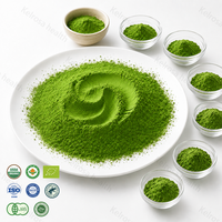 Poudre de Matcha en Gros Certifiée JAS USDA UE Thé Vert Biologique Matcha Cérémonial Japonais 7A Poudre de Matcha Uji