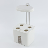Lampe de culture LED à spectre complet pour la croissance des plantes d'intérieur, avec minuterie et clip pour succulentes, herbes et semis