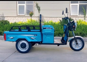 Maison de voiture électrique à trois roues tenir les personnes âgées ramasser les enfants montagne tirer marchandises petit scooter. - Product Image 4