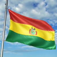 Drapeau de la Bolivie 3x5 pieds avec logo, impression personnalisée, bannière durable 100% polyester avec logo personnalisé, drapeaux de la Bolivie directement de l'usine