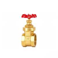 Vanne à opercule manuelle en laiton, pour l'alimentation en eau et le drainage, PN16, OEM et OBM disponibles