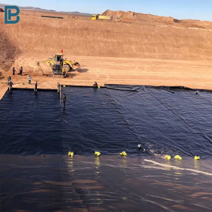 Approvisionnement d'usine 1.0mm géomembrane HDPE pour réservoirs lagunes d'irrigation étangs de jardin eau sale EPDM PP revêtement de barrage fermes piscicoles - Product Image 2
