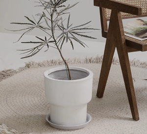 Alto nórdico creativo boca redonda sala de estar piso interior tipo Tigre Pilan planta verde maceta de arcilla de magnesio - Product Image 3