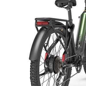 Lankeleisi MG600 Lite Green 250W 36V 20Ah Electric Hybrid <b>Bike</b> Maxxis <b>Tires</b> <b>Mountain</b> City Ebike EU Warehouse SUV E-<b>Bike</b> - Product Image 6