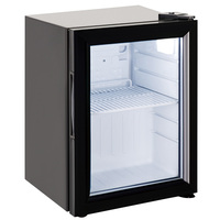 Mini-réfrigérateur commercial 21L à porte vitrée simple, vitrine réfrigérée pour boissons, avec efficacité énergétique 5 étoiles et dégivrage automatique