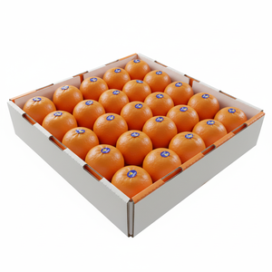 Naranja Navel Fresca, Cítrico Dulce Premium, Fruta Natural Saludable y Jugosa, Directo <span class=keywords><strong>de</strong></span> Granja, Venta al por Mayor, Exportación, Suministro a Granel - Product Image 3