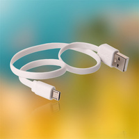 Harga Grosir Pabrik Murah Kabel Charger USB Micro B Pendek 50cm Pengisian Cepat 5V 2A Panjang 0.5M untuk Android