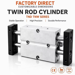Vente en gros <span class=keywords><strong>de</strong></span> vérins pneumatiques à double <span class=keywords><strong>tige</strong></span> TND/TNW, vérins à double action, OEM ODM, fourniture directe d'usine - Product Image 1