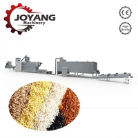 Machine d'extrusion de riz fortifié à double vis de haute qualité, machine de fabrication de riz nutritif, ligne de production