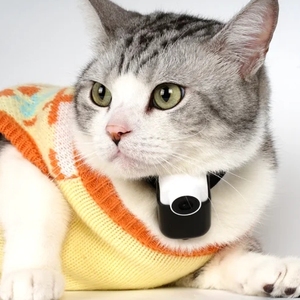 Rastreador de Mascotas para Deportes al Aire Libre con Grabación de Video, <span class=keywords><strong>Collar</strong></span> Inalámbrico y Seguro para Perros y Gatos, Forma Redondeada Automática, Carga Eléctrica - Product Image 2