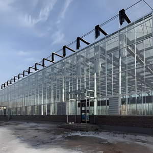 <span class=keywords><strong>Serre</strong></span> <span class=keywords><strong>en</strong></span> <span class=keywords><strong>verre</strong></span> moderne Venlo, prix abordable pour les plantes, tomates, concombres, belle et robuste avec une haute résistance au vent. - Product Image 4