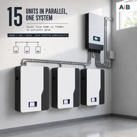 Baterai LiFePO4 Terpasang di Dinding 48V 100Ah 200Ah 5kWh 10kWh, 6000 Siklus Deep Cycle, Sistem Penyimpanan Energi Surya Rumah, Produsen