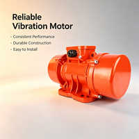 Moteur vibrant asynchrone industriel robuste série 3 MVE, certifié IP65 CE, à faible bruit, pour table vibrante et aide à la circulation des charges dans les trémies