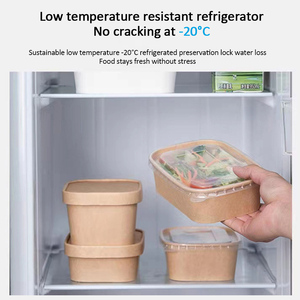 Wholesale 500ml 700ml Take Away Food Container Biodegradable Disposable Kraft <strong>Rectangular</strong> Salad Paper Bowls - Product Image 5