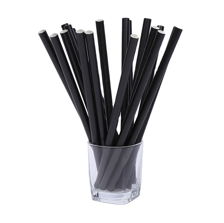 Pack Black Biodegradable Paper Straws Eco-Friendly Drinking Straws Bulk for Party Supplies, Bridal/Baby Shower, Birthday