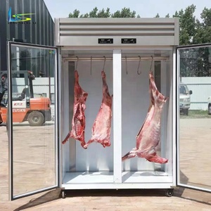 Réfrigérateur Commercial de Boucherie à Suspension de Viande, Nouveau Design, Prix Usine, Longueur 1,2 m, 2 Portes, Multi-climatisation - Product Image 3