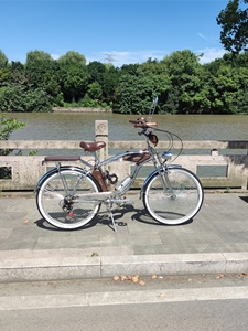 Vintage 26 pulgadas Euro-American 7 Speed Beach Cruiser Bike 140 Spoke Dual Shock Absorbing Chrome V Pedal de freno tipo Ordinary V - Product Image 2