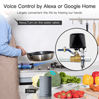 Contrôleur de vanne d'eau intelligent Tuya 2026, technologie WiFi Zigbee, prend en charge la commande vocale à distance, compatible UE/US, pour une utilisation intelligente à la maison