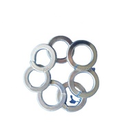 DIN127/BSW Spring Washers Hot-dip Galvanised/zinc Plated High Quality Made in China