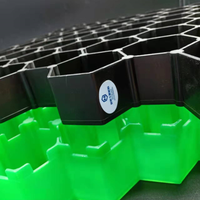 Pavés de gazon en plastique pour allée, 38mm, 50mm