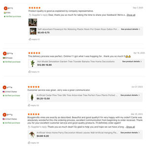 Olivier de créateur 4 pieds 5 pieds 6 pieds 7 pieds Jardinière minimaliste de verdure architecturale pour affichage intérieur et extérieur - Product Image 5