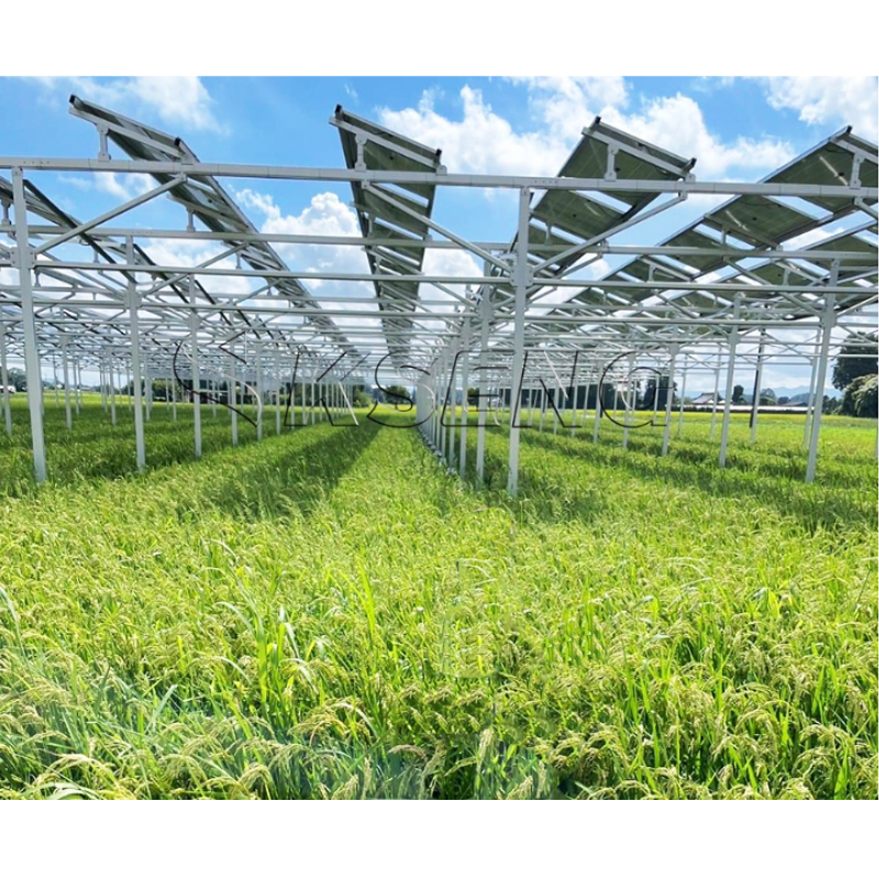 1MW PV Farm Solar Energy System Agriculture Solar Farm Ground Mounting System Solar Farm Structure System · image 2