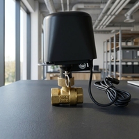 Válvula de Cierre de Agua y Gas WiFi Tuya con Temporizador, Control Inteligente de Grifo con Control por Aplicación, Compatible con Alexa y Google Assistant