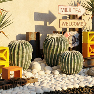 Cactus Artificiale Dorato a Forma di Sfera, Realistico, di Alta Qualità, Ecologico, Durevole, Resistente all'Acqua, per Interni ed Esterni, Casa e <span class=keywords><strong>Giardino</strong></span> - Product Image 3