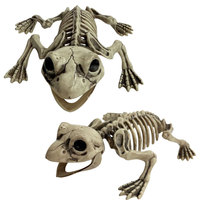 Décoration de squelette de grenouille réaliste effet vieilli, figurine d'os d'amphibiens pour exposition de diorama sur le thème des marais, cimetière, pelouse, Halloween