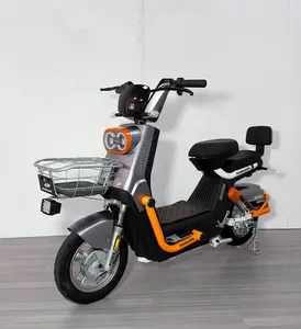 2024 500W 800W 2 Seater Electric Bike Ebike Scooter Electric Motorcycle Selling Bike Used Electric Bicycles For Adults