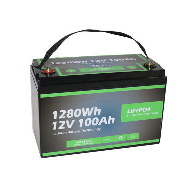 12V 100Ah 24V 300Ah Lifepo4 Battery Bateria Lithium 24v 100ah Lifepo4 24v 200ah Lithium Battery for RVs and caravan