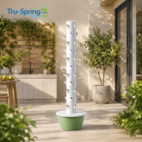 Tour hydroponique à 11 étages sans lumière de culture LED, système de culture vertical avec pompe à eau pour la plantation de légumes et d'herbes en serre