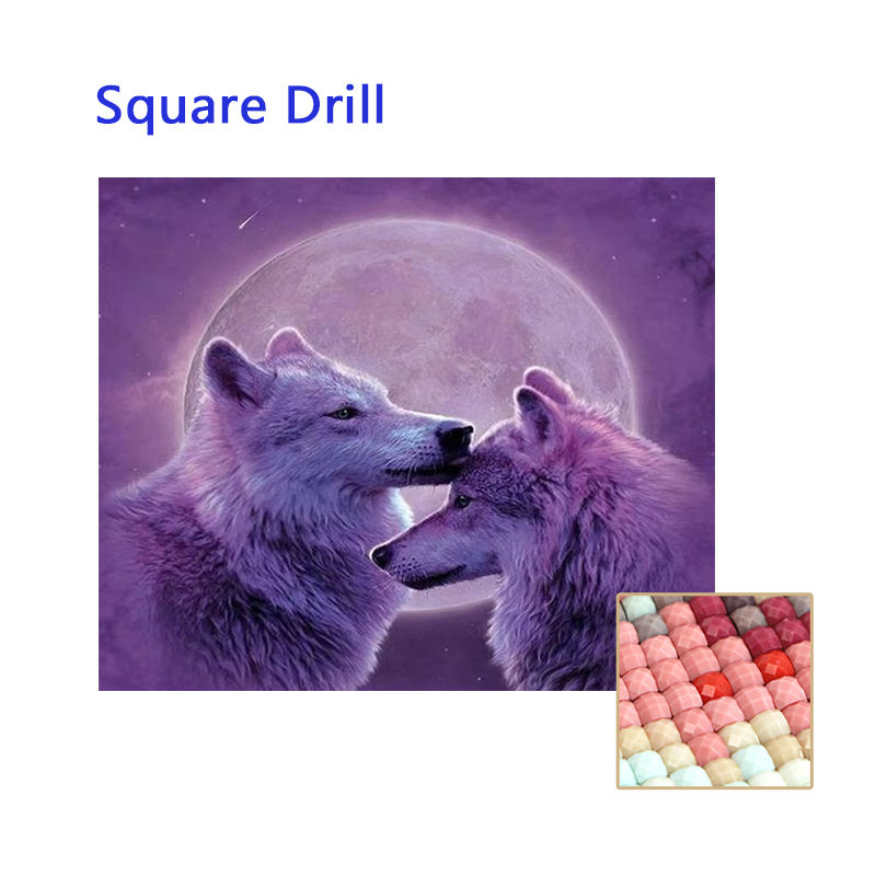 Trapano quadrato colorato