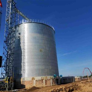 Зернохранилище с плоским дном на 1000 тонн, цена на хранилище для пшеницы и кукурузы - Product Image 5